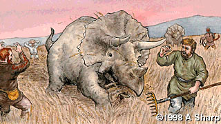 R011.jpeg (38095 �o�C�g)